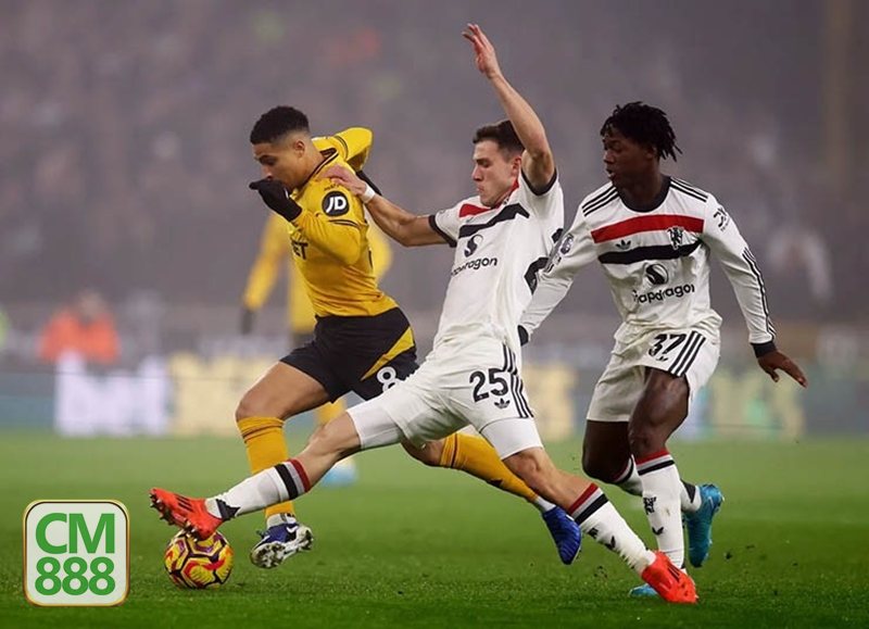 Kèo Ném Biên CM888 - Tính hấp dẫn của kèo ném biên Kèo Ném Biên CM888 - Tính hấp dẫn của kèo ném biên